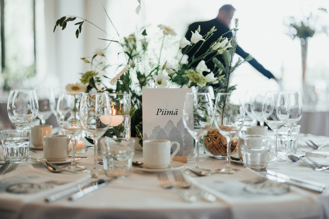 Meventin ladattava opas on nyt julkaistu