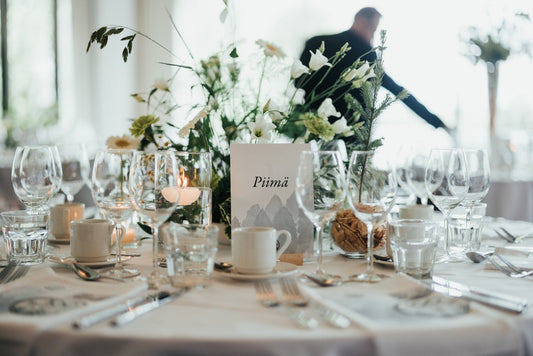 Meventin ladattava opas on nyt julkaistu