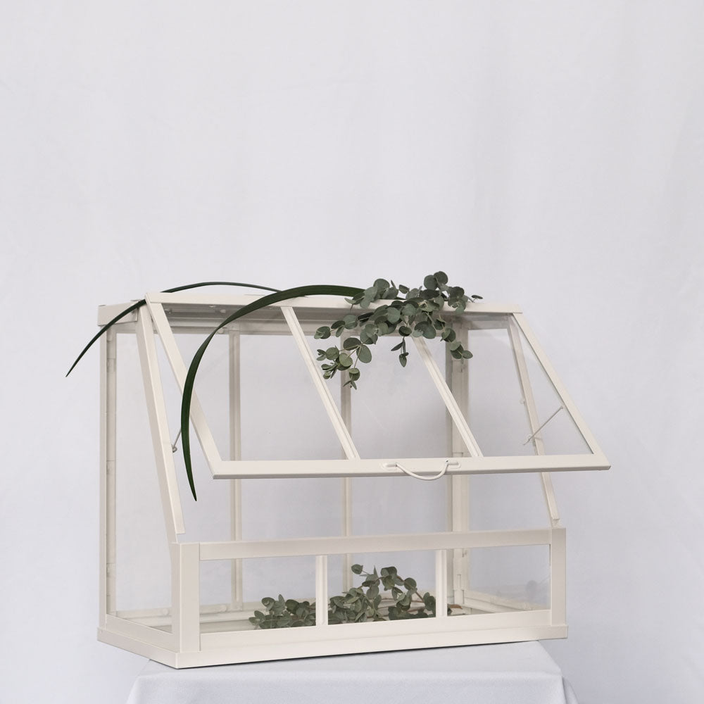 White card box