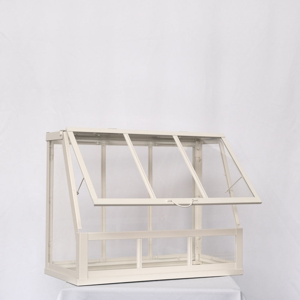 White card box